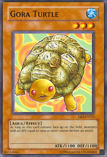 Tortue Gora [DB2-FR074] Commune