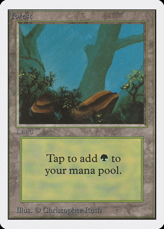 Forêt (300) [Édition illimitée]