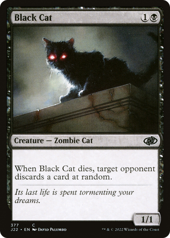 Gato negro [Salto temporal 2022]