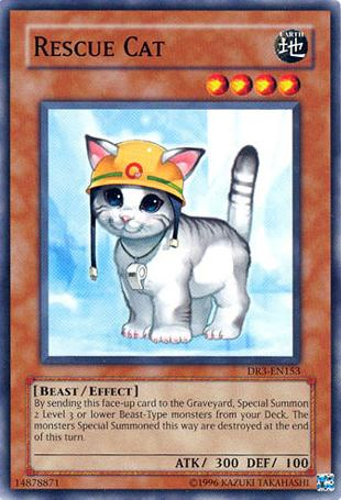 Chat de secours [DR3-EN153] Commune