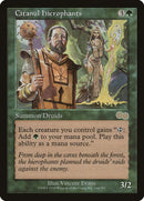 Hiérophantes citanuls [Saga d'Urza]