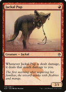 Chacal [Masters 25]