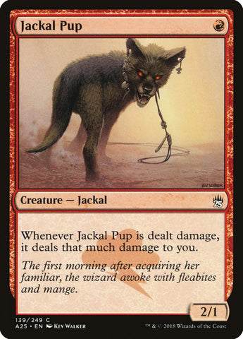 Cachorro de chacal [Masters 25]