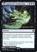 Despertar de Agadeem // Agadeem, la cripta subterránea [Cartas promocionales de prelanzamiento de Zendikar Rising]