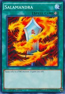 Salamandra [LDK2-FRJ27] Commune