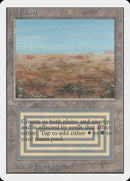 Friche [Édition illimitée]