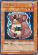 Des Koala [DR1-FR132] Rare