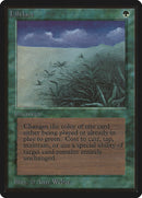 Lifelace [Édition bêta]