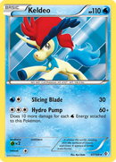 Keldeo (47/149) [Negro y Blanco: Fronteras Cruzadas]