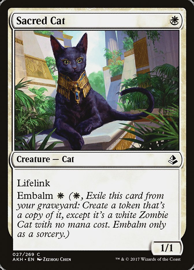 Chat sacré [Amonkhet]