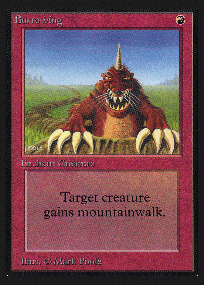 Burrowing [Edición para coleccionistas]