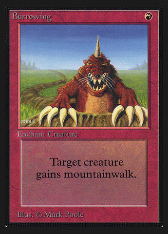 Burrowing [Edición para coleccionistas]