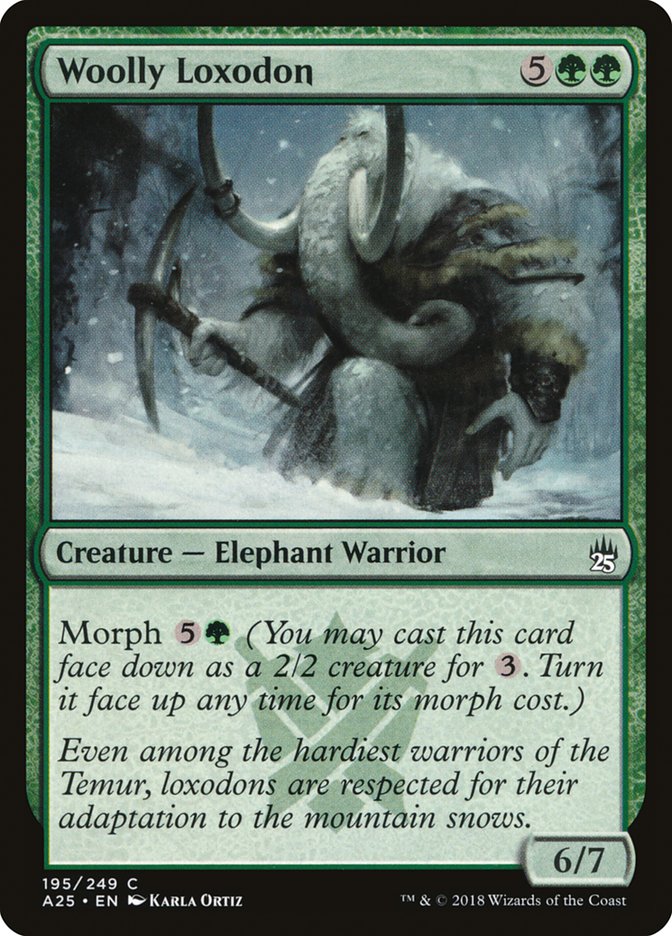 Loxodon laineux [Masters 25]