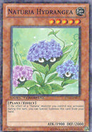 Naturia Hydrangea [DT03-FR072] Commune