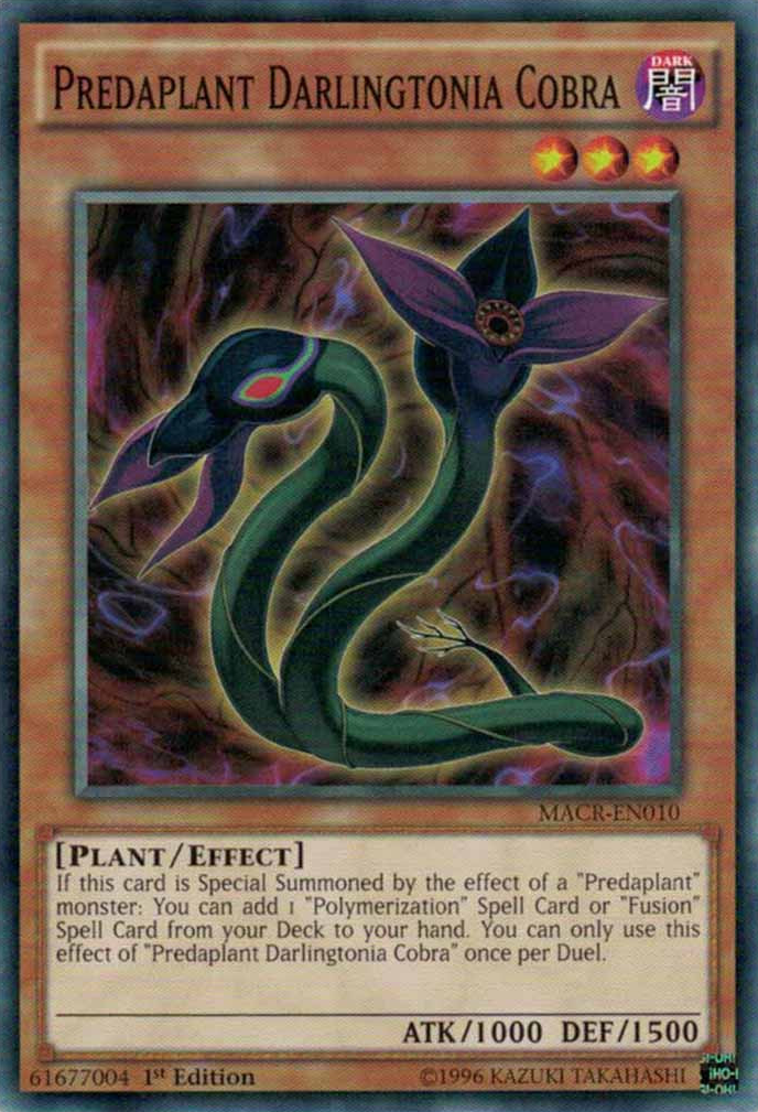 Predaplanta Darlingtonia Cobra [MACR-EN010] Común