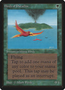 Oiseaux de Paradis [Édition Bêta]