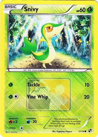 Snivy (1/114) (Carta promocional de liga) [Negro y Blanco: Set Básico]