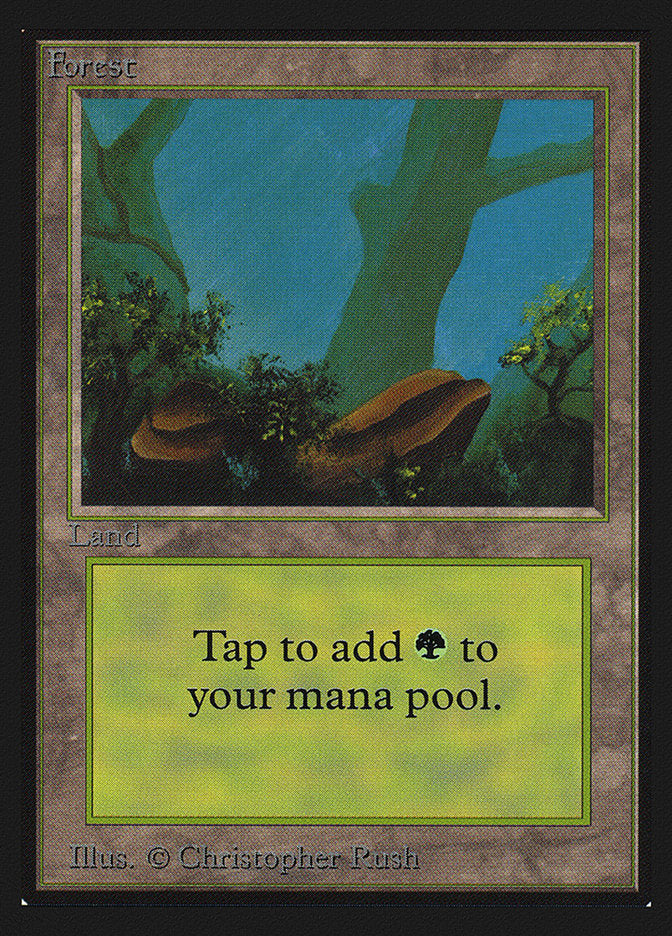 Forêt (Deux Pierres) [Édition Collector]
