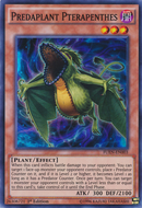 Prédaplante Ptérapenthes [FUEN-FR003] Super Rare