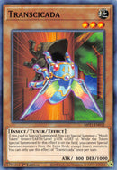 Transcicatrice [MP21-FR012] Commune