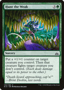 Chasser les faibles [Rivals of Ixalan]