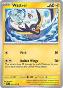 Wattrel (080/193) [Escarlata y Púrpura: Evolución en Paldea]