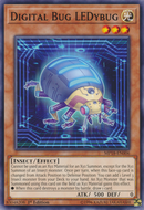 Digital Bug LEDybogue [MP18-FR006] Commune