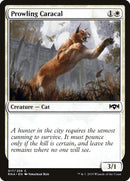 Caracal rôdeur [Allégeance de Ravnica]