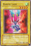 Harpie vociférante [DB1-FR145] Commune